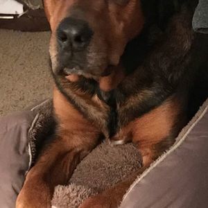 Meet your Posher, Peggy